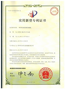 Certification for moulding dressing device