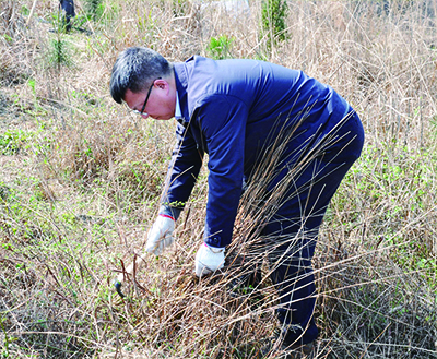 Guizhou Henfux organized tree planting activities